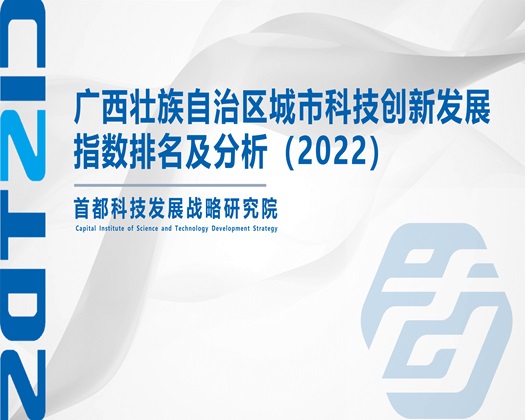 屌操逼大综合【成果发布】广西壮族自治区城市科技创新发展指数排名及分析（2022）